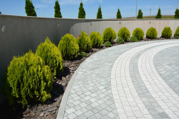Best Permeable Paver Driveway  in Arlington, TX
